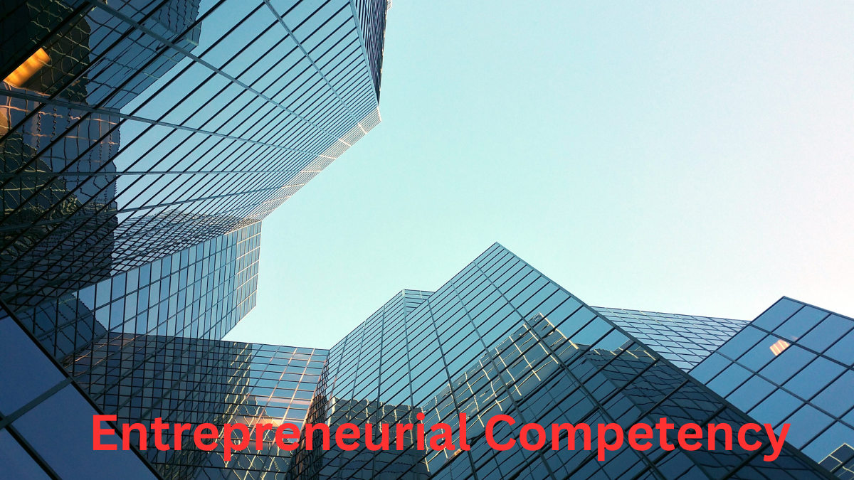 4 types of entrepreneurial competency